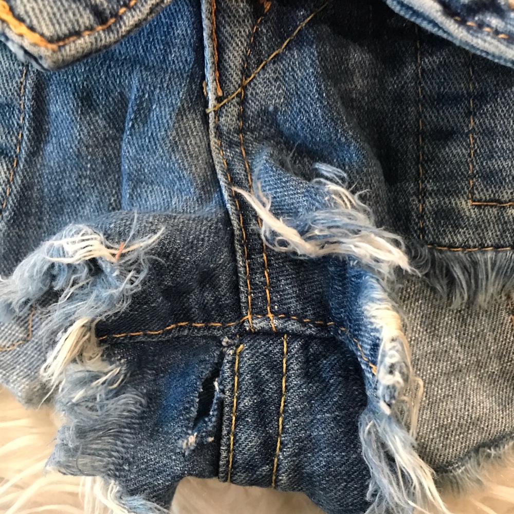 True Distressed Shorts! - Picture 5 of 7